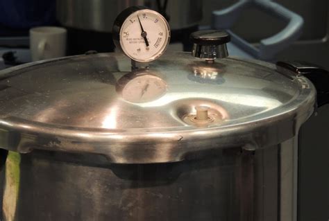 This is the most used process for sterilizing substrate in jars. . Sterilizing substrate with pressure cooker